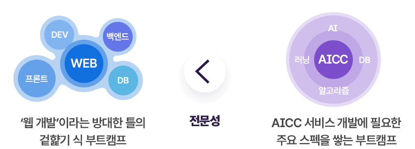 전문성